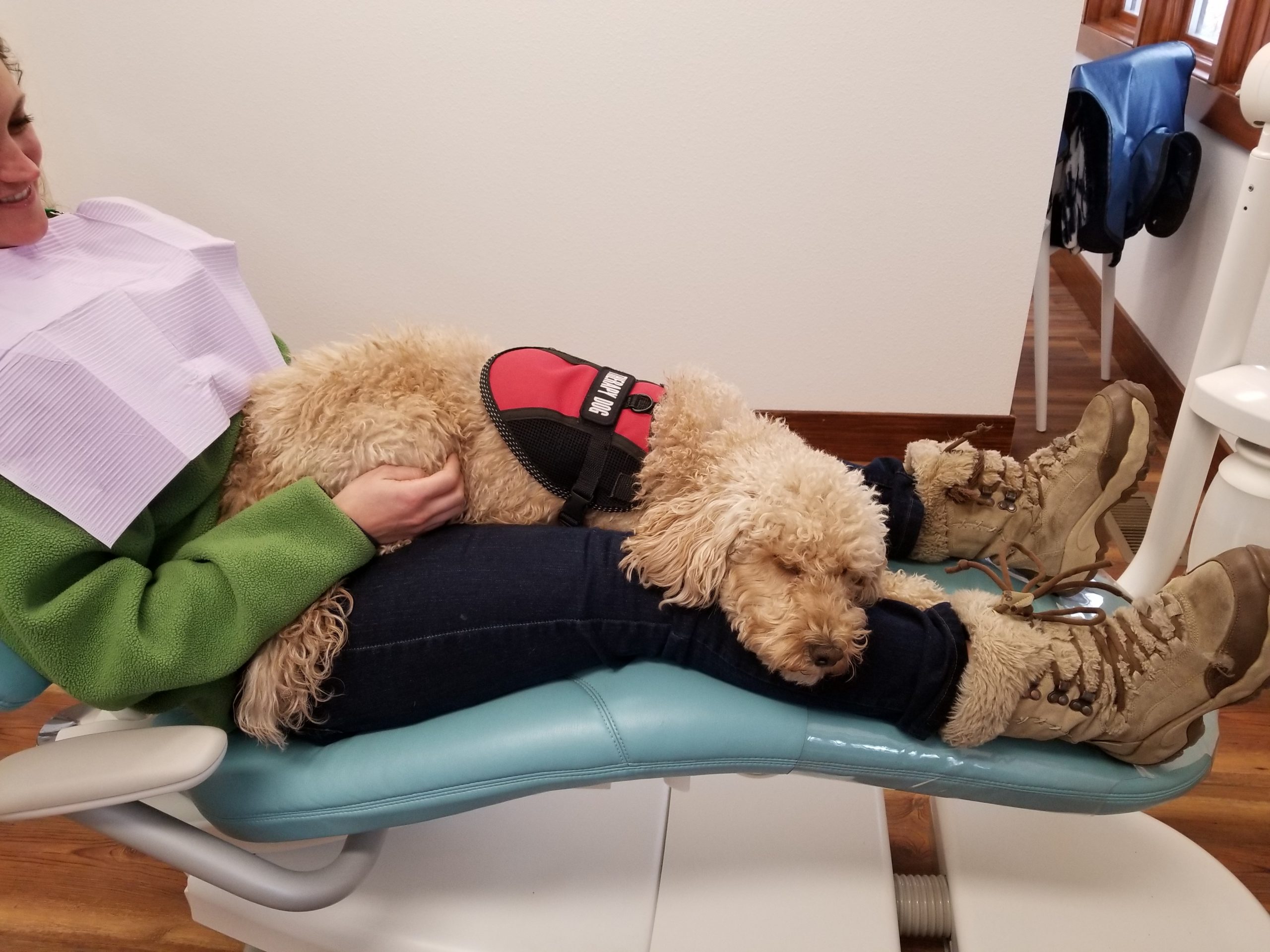 Photo of the dental team at The Fort Collins Dentist in Fort Collins, Colorado